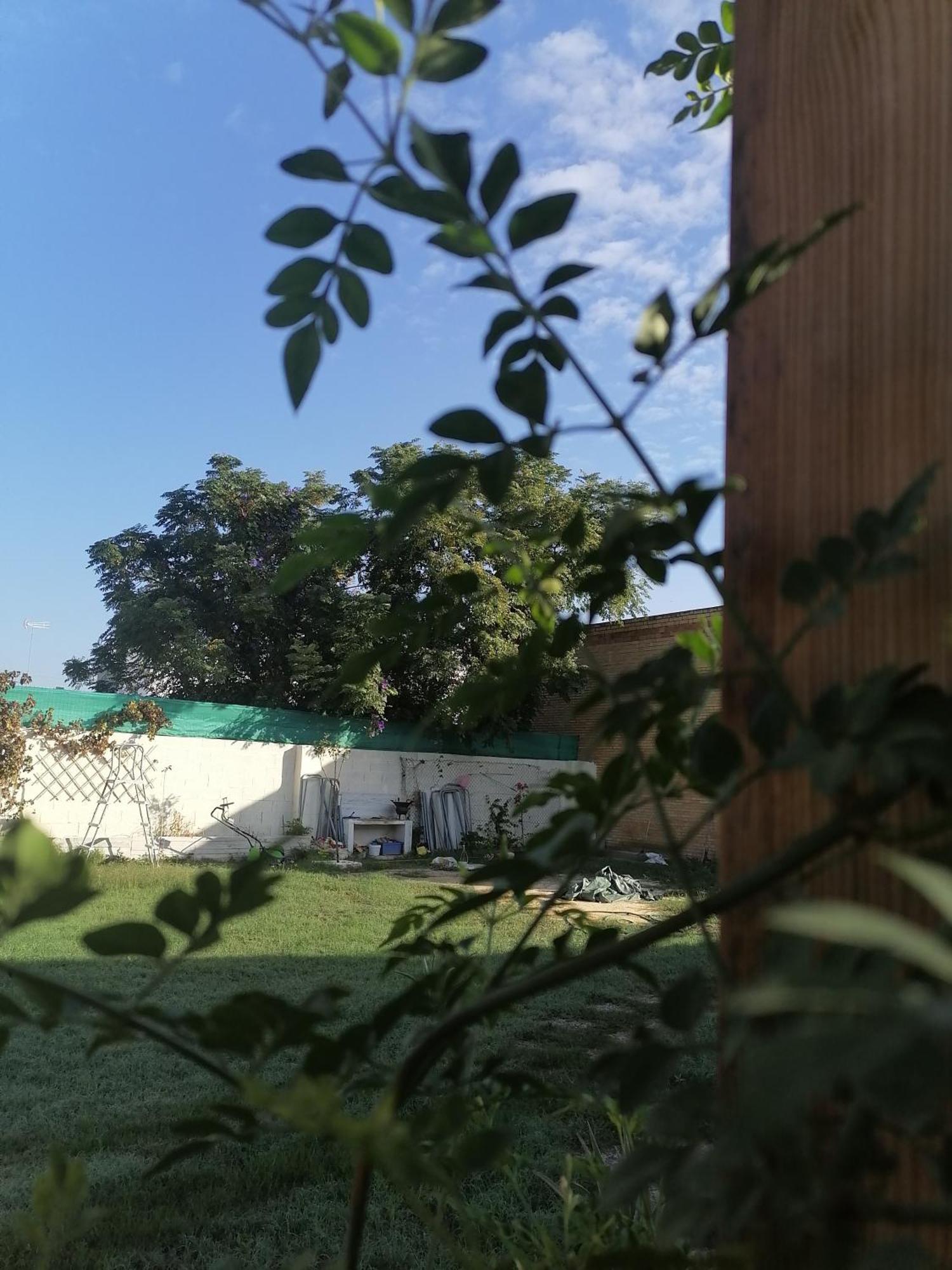 Cabana El Salto Del Duende Villa Carrion de Los Cespedes Dış mekan fotoğraf