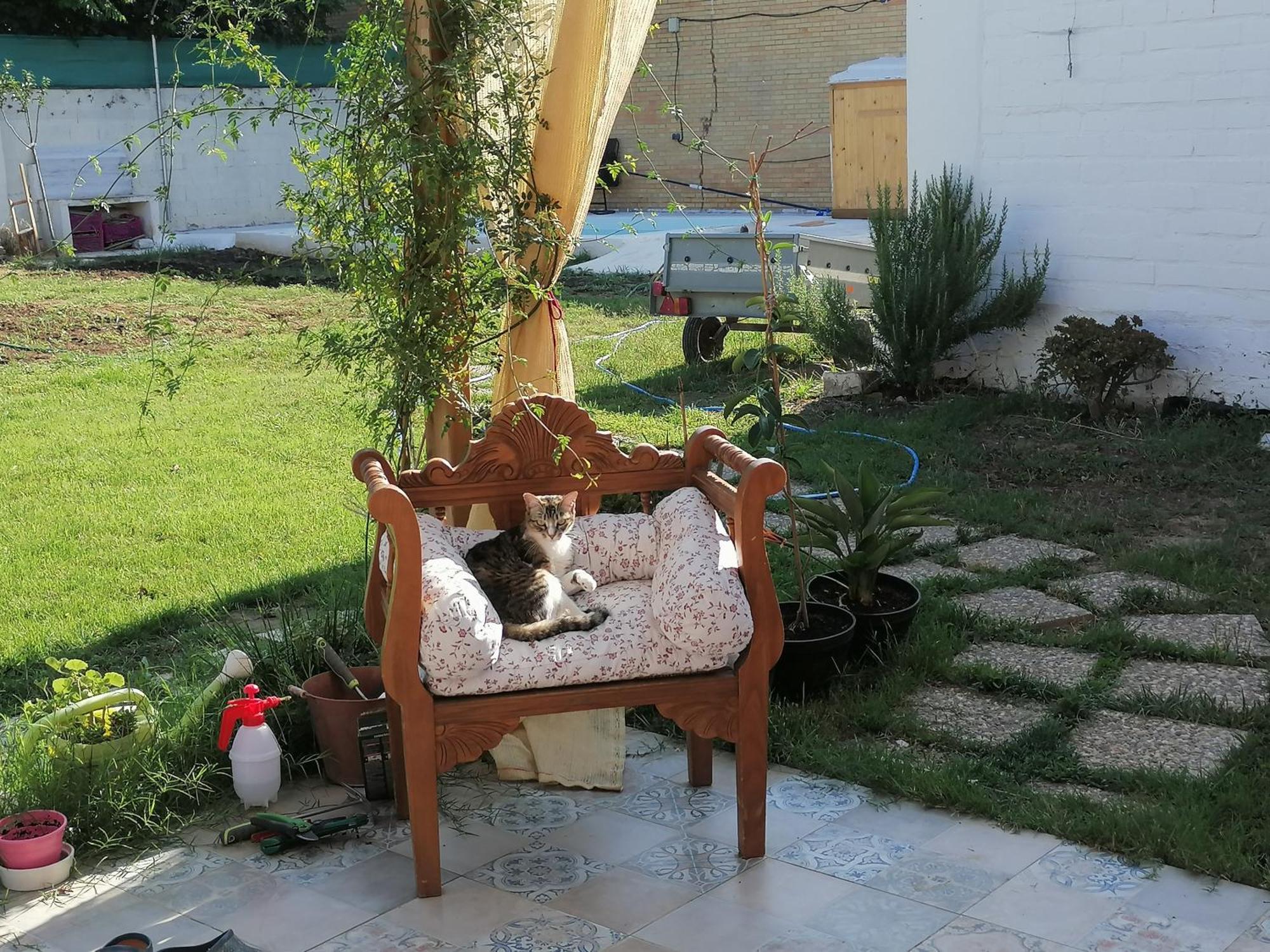 Cabana El Salto Del Duende Villa Carrion de Los Cespedes Dış mekan fotoğraf